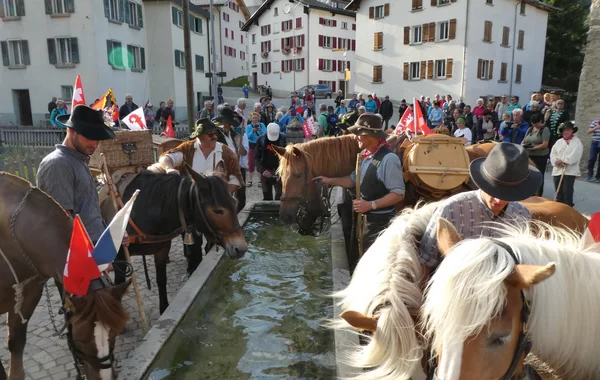 Orte an der Sbrinz-Route