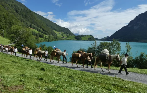 8-Tages-Wanderungen